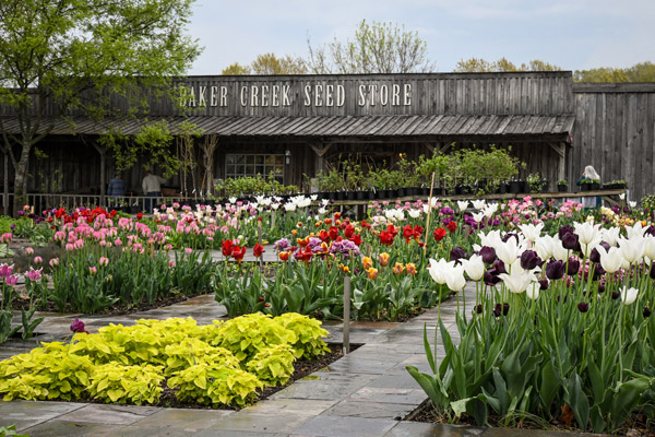 baker creek seed store